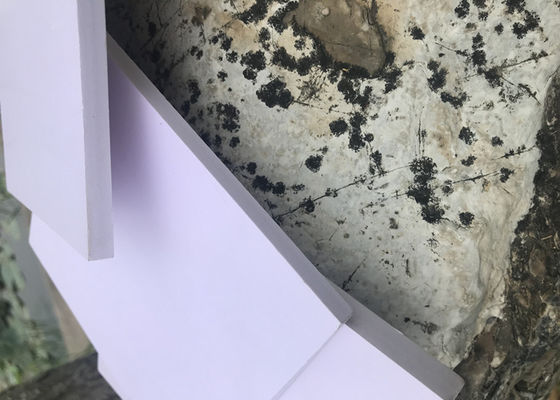 Πίνακας 0.3g αφρού PVC Sintra πολυβινυλικού χλωριδίου/πυκνότητα Cm3 που διαφημίζει Siganboards
